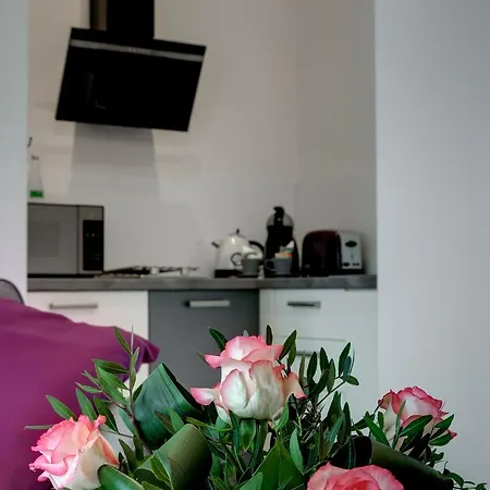 Zamkowa15 Apartament Kraków
